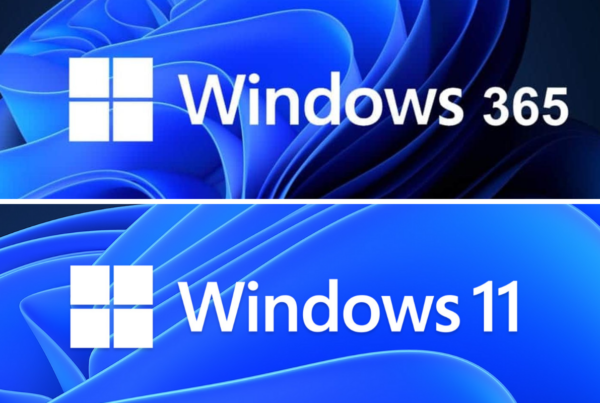 windows 11 windows 365